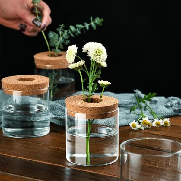 Hydroponisk blomkruka Hem Glasvas H H H
