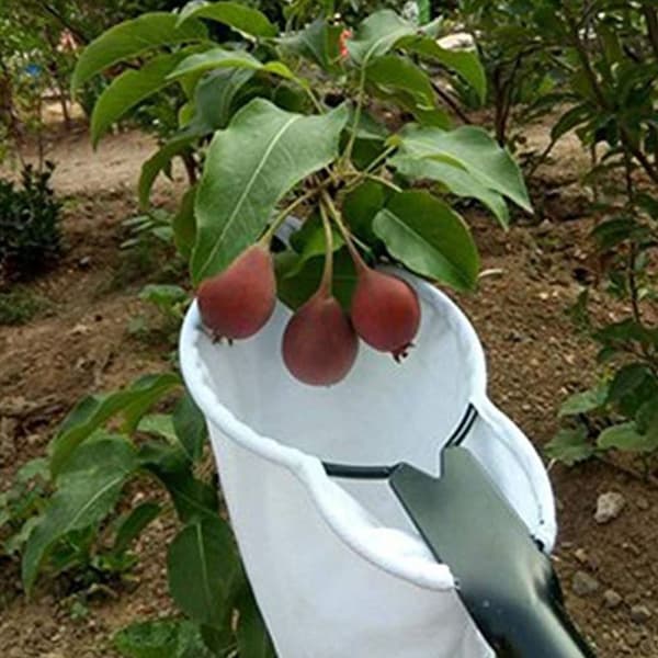 Fruktfanger Fruktkolleksjonspose Fruktplukker