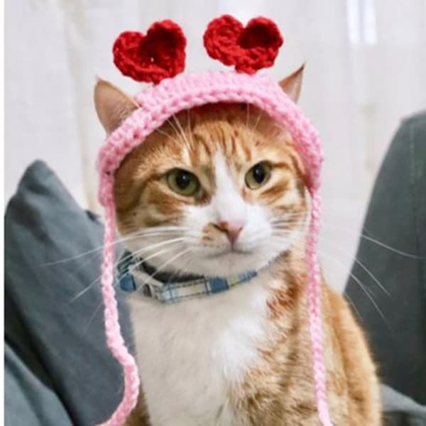 Medium Hund Kat Hat Strikket Hat Kæledyrskostume