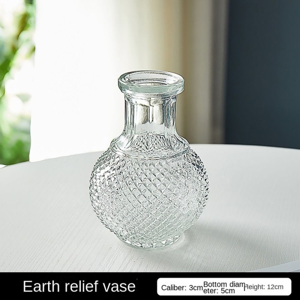 Glassvase Hydroponic Plant Vase D D D