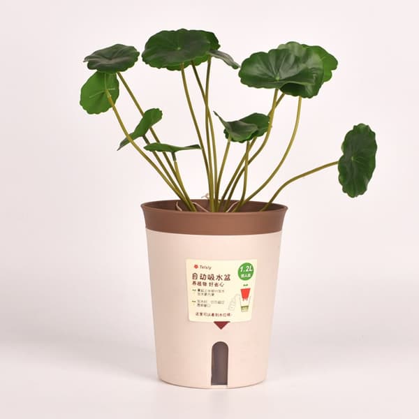 Lazy Hydroponisk Blomsterpotte Vandabsorberende Urtepotte KAFFE M coffee M