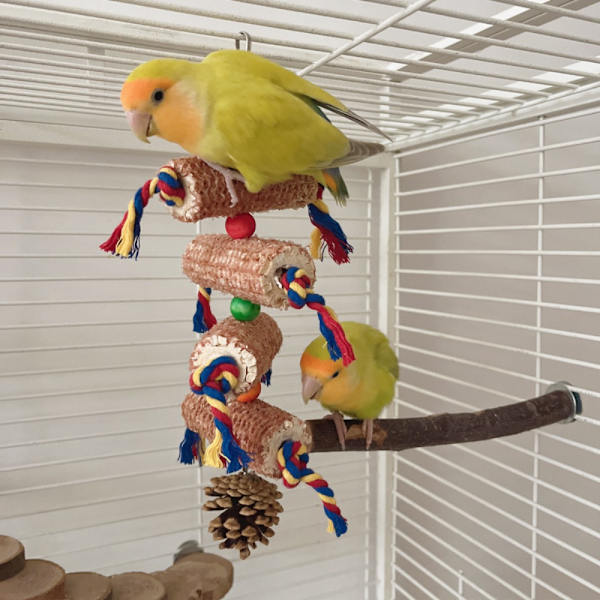 3 kpl Bird Lelut Papukaijalelut suurille linnuille Luonnollinen pippuri