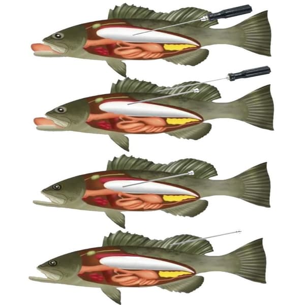 Fiskeventilverktøy Nål Tre Størrelser