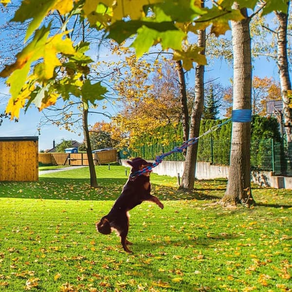 Hundleksak Rep Dragkamp Leksak Hund Tänder Leksaker