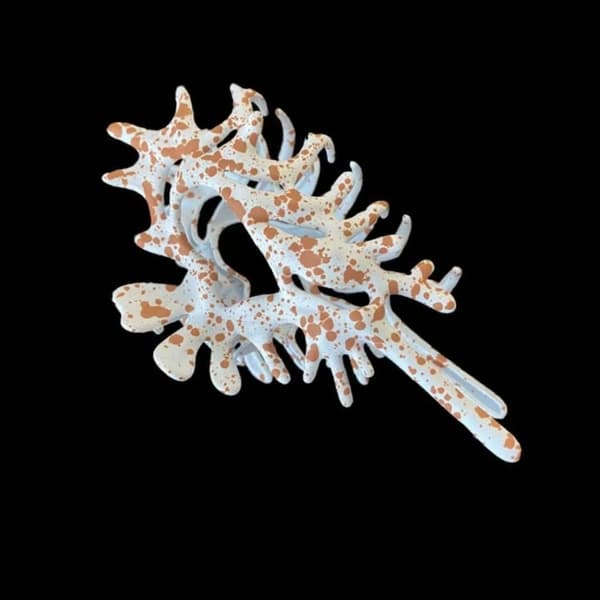 Alien Conch Octopu Hårklemmer Y2K Hårklemme D D D