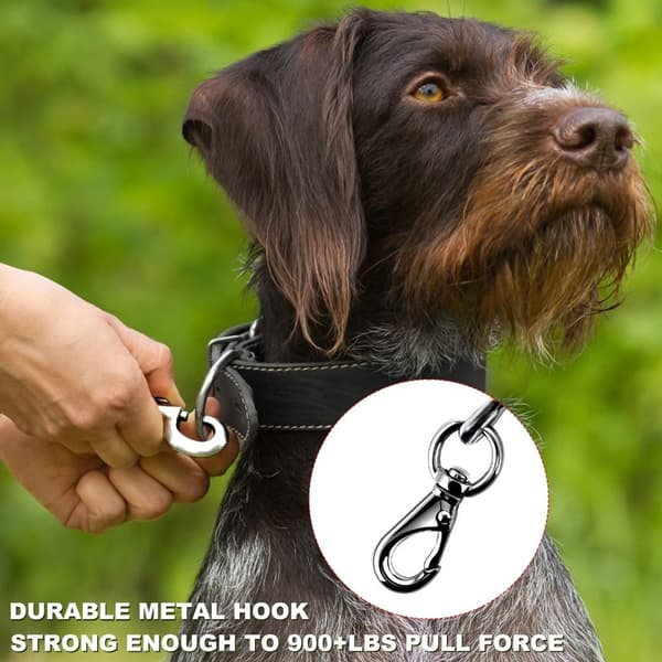 Kæde Hundesnor Hvide White