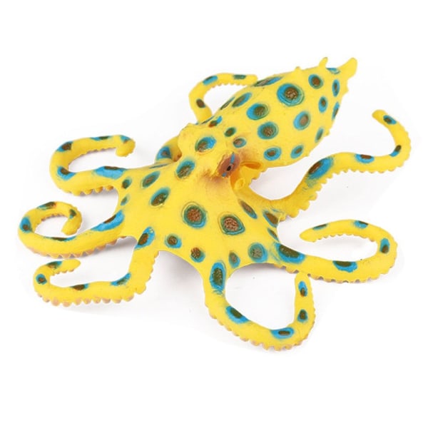 Marine Molluscs Model Simulation Squid Octopus 01 01 01