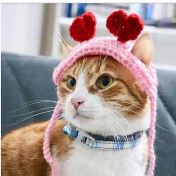 Medium Hund Katt Hatt Stickad Hatt Husdjurskostym