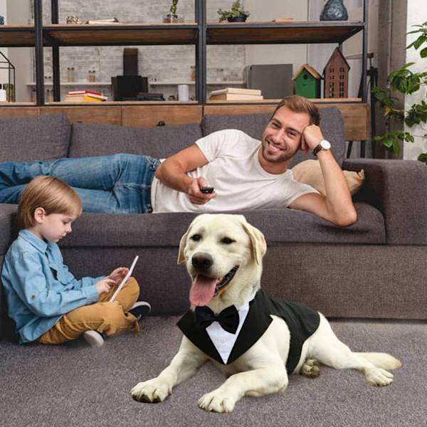 Dog Tuxedo Dog Suit Vintage Design