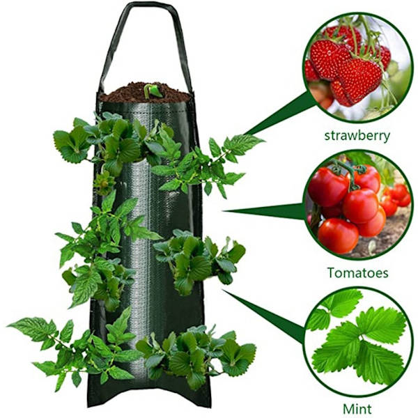 Plant Grow Bags Jordgubbsplanteringsbehållare ORANGE 4 HÅL 4 orange 4 Holes-4 Holes