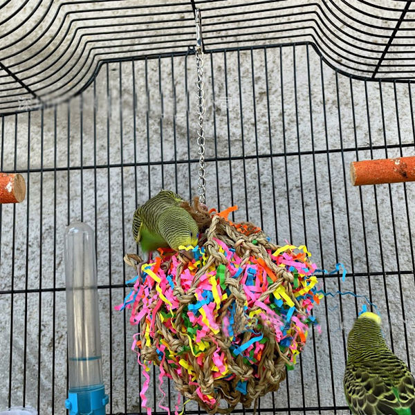 Parrot Toy Grass Woven Färgglad Tear Toy Dekompression Fun Pull