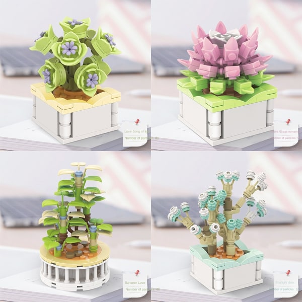 Suckulent byggstensblomma B B B