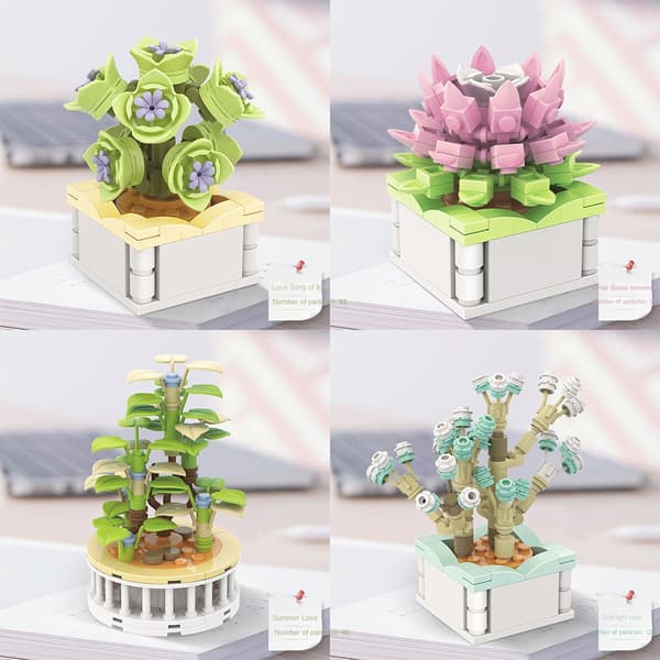 Sukulent Byggekloss Blomster D D D