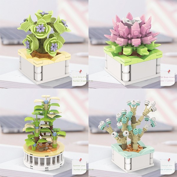 Sukulent Byggekloss Blomster E E E