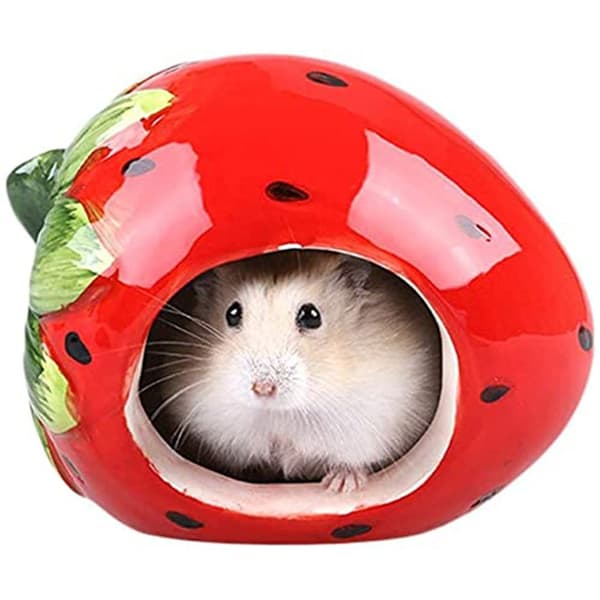 Hamster Kylbo Husdjurs Sovrum GRODA GRODA Frog