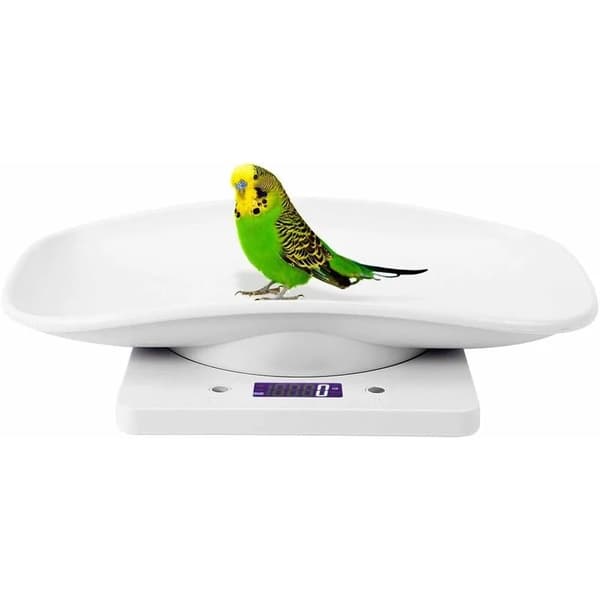 Digital köksvåg, hög precision, 0,01 g, 500 g