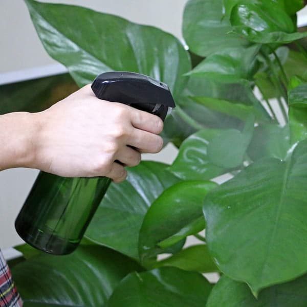 300 ml kasvisuihkepullo, vesisuihkepullo kasveille, sumutinpullo kasveille, hienosuihkepullo, kasvisuihkepullo