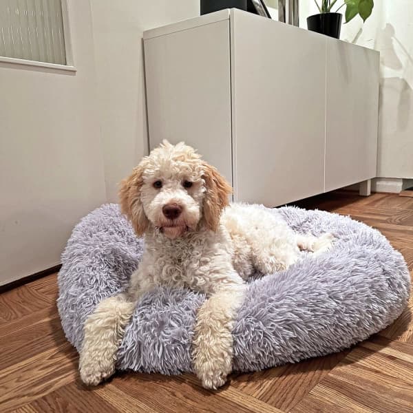Rund myk og fluffy hundebed kattebed Lysegrå 80 cm