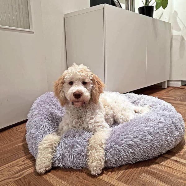Rund myk og fluffy hundebed kattebed Lysegrå 40 cm