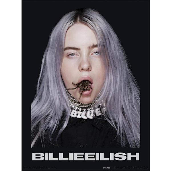 Billie Eilish Spider Plakat 40cm x 30cm Sort Sort Sort
