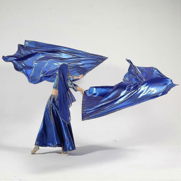 Lovsangsfalger til dansehyldest Kirkeflag til tilbedelse Banderas de Danza Navy 2025