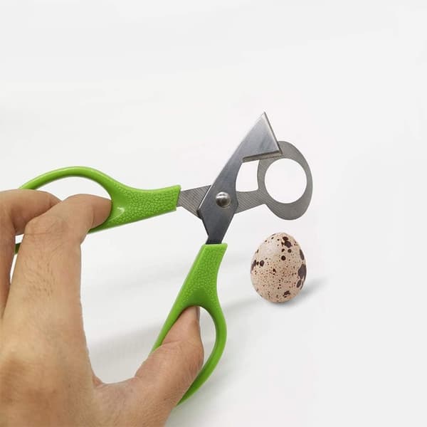 Rustfrie vaktel-eggsakser - Eggkutter Dueskjærer Skallseparator Vaktel-eggsaks Eggknekk