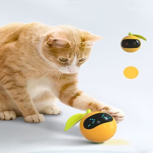 Interactive Cat Toy - SALUTUYA - Automatic Rolling Ball - Laser - USB Rechargeable - Red[DB] Blue Blue