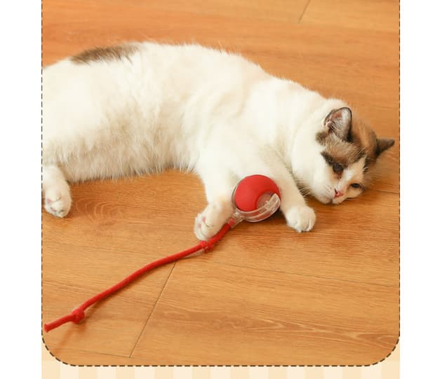Interactive Electric Cat Toy, Smart Cat Ball Toy - Smart Interactive Ball Model 1