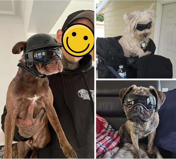 Hundetilbehør – silikone, justerbar, slidstærk – til kæledyr