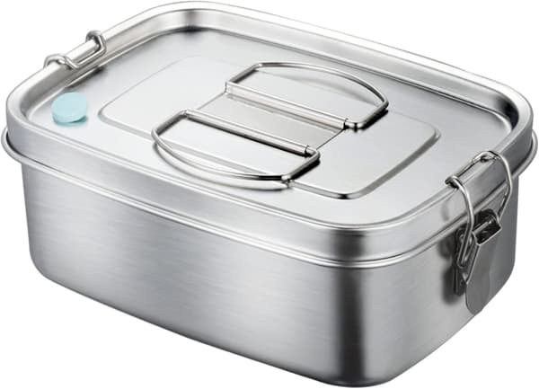 Stainless Steel Bento Box with Removable Divider, Fits in Lunch Bag and Backpack