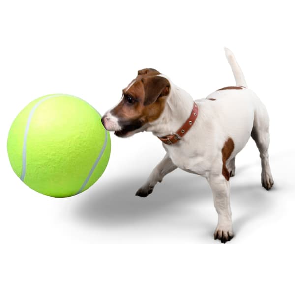 Stor tennisbold til hund - 24 cm hundelegetøj