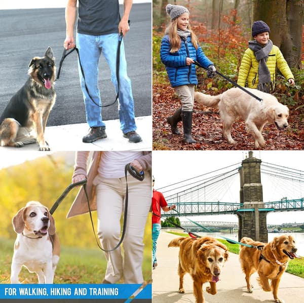 Pet Leash, Large and Medium Dog Leash with Chain, Dog Walking, Traction Rope, Nylon, Double Layer, Thicker, Reflective