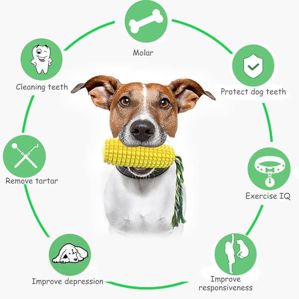 Dog Accessories - Nylon, Durable - For Dogs