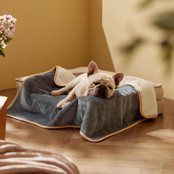 Waterproof Blanket for Small Dogs Washable Dog Blanket, Sofa Protector (1 pc, 60*80cm, Grey)