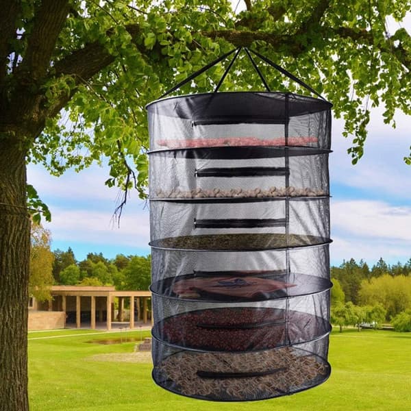 Lager Herb Drying Rack, 60cm Hanging Drying Net, 20cm Distance Between Layers, Foldable Drying Net for Hydroponics, Fish, Weeds - 1pc