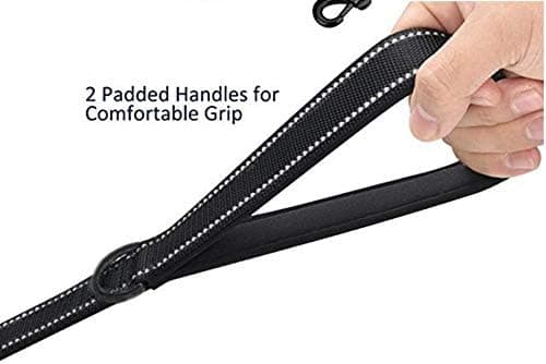 Pet Leash, Large and Medium Dog Leash with Chain, Dog Walking, Traction Rope, Nylon, Double Layer, Thicker, Reflective