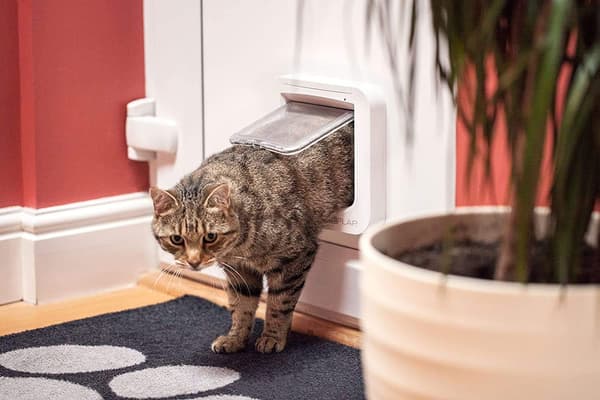 [LCS]Sure Petcare Microchip Cat Flap, White, Scans Pet ID on Entry