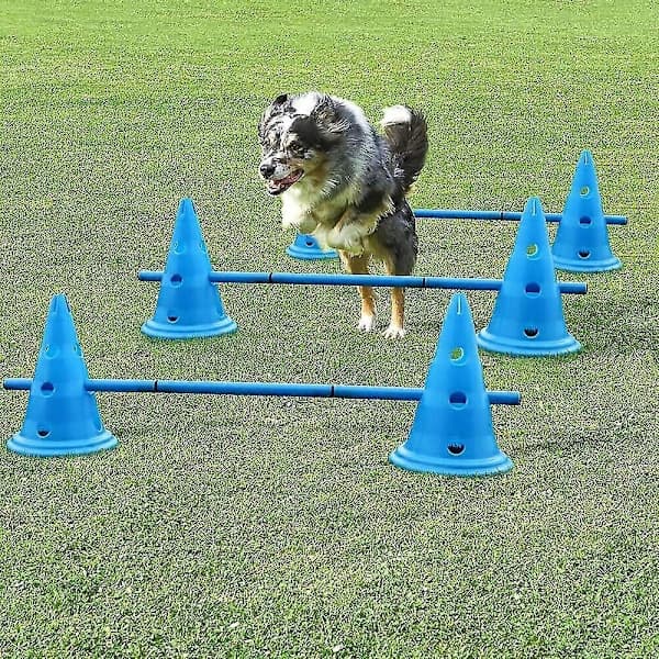Set med 3 Hund Agility Utrustning Hopp Kit Inomhus Träningshinder Koner Bana