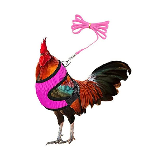 Chicken Harness with Leash, Adjustable Chicken Leash for Hens, Duck, Puppy,