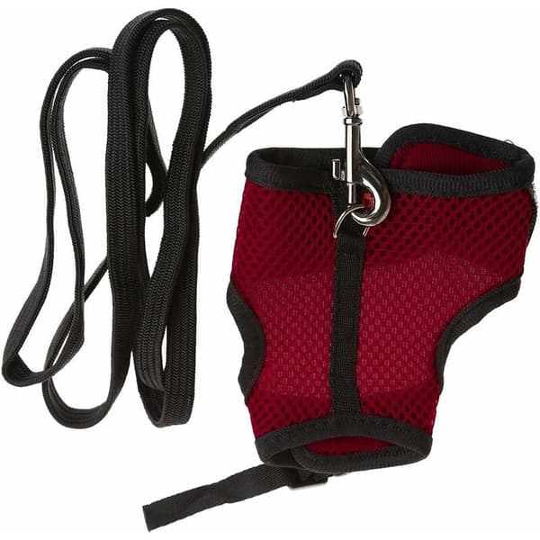 Pet Harness, with Elastic Leash, Ideal for Rabbits, Ferrets, Guinea Pigs and More (Soft and Comfortable)