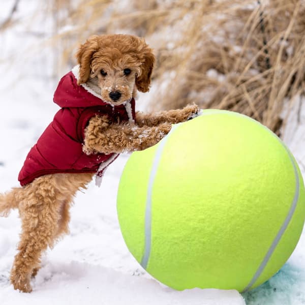 Stor tennisbold til hund - 24 cm hundelegetøj