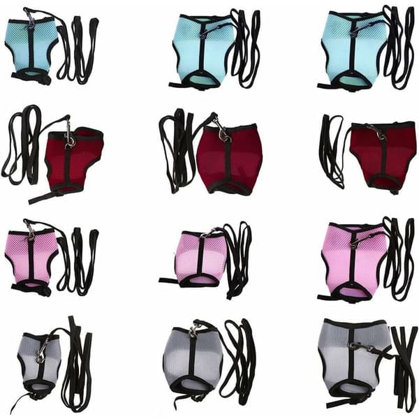 Pet Harness, with Elastic Leash, Ideal for Rabbits, Ferrets, Guinea Pigs and More (Soft and Comfortable)