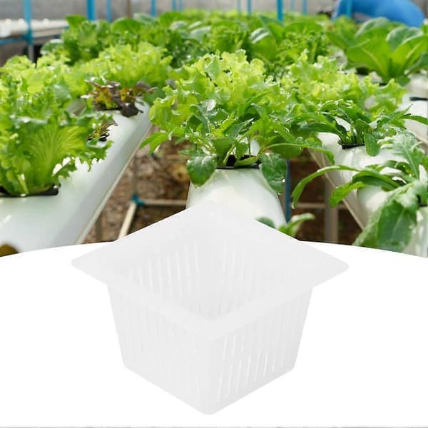 50pcs Square Hydroponic Net Pot Soilless Cultivation Flower Plant Grow Basket White