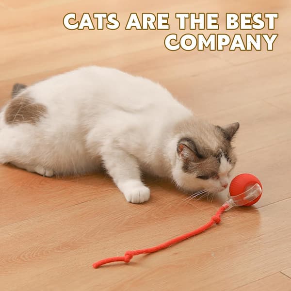 Interactive Pet Toy - Smart Rolling Ball with LED Light, 360° Automatic for Cats and Dogs, Rechargeable, Red red