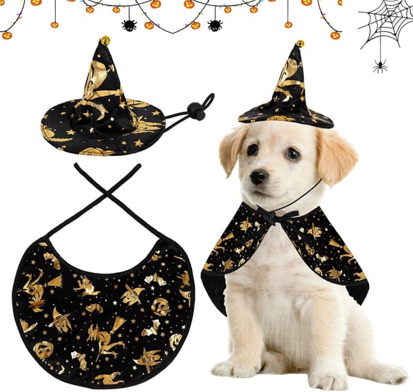 Kæledyr Halloween-kostumer (troldmand), hundekostume kappe kattekappe heks