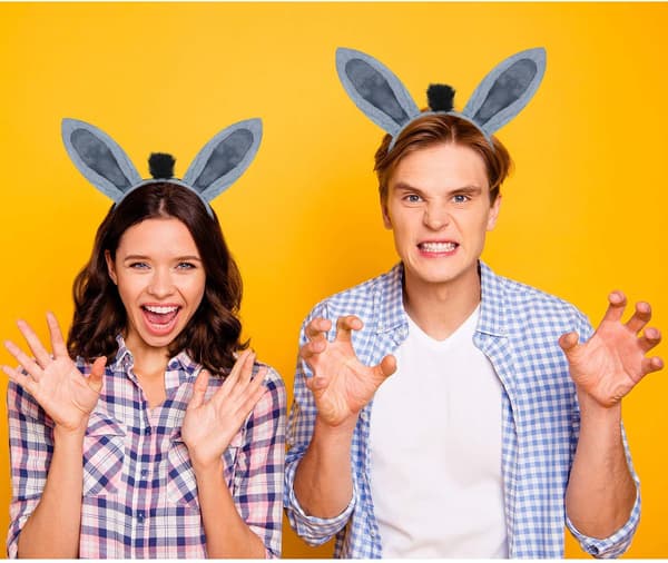 Animal Costume Set, Ear Headband, Tail