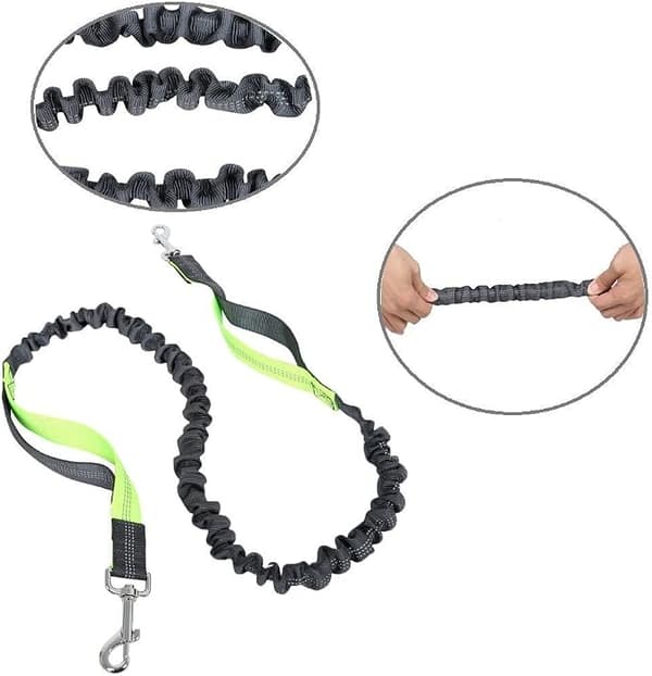 Hundebånd med justerbart midjebelte, hundeløping joggebånd