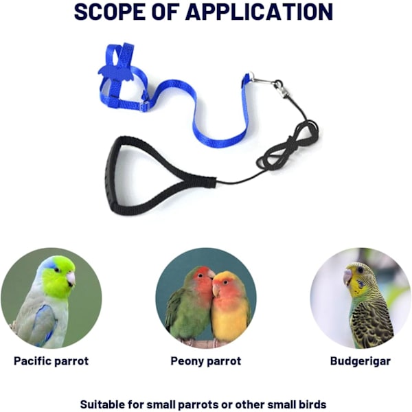 2 meter adjustable parrot training rope, bird harness for outdoor activities, elastic band training rope