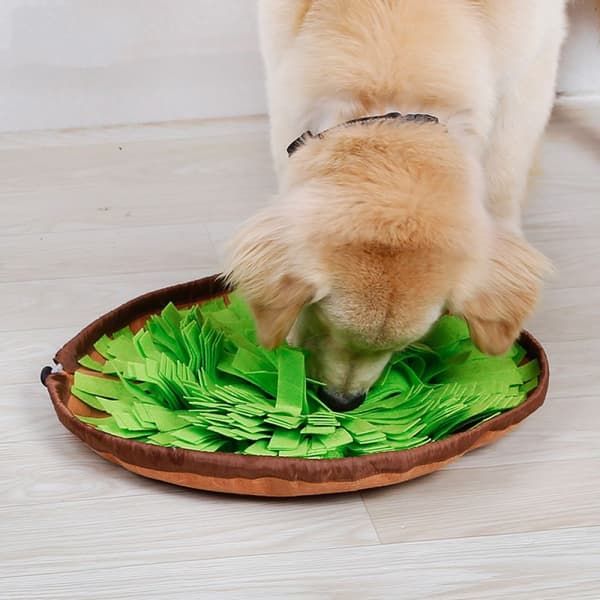 Stress Release Snuffle Mat, Non-Slip Bottom for Safe Indoor & Outdoor Use, Scent Work Training & Interactive Game Puzzle for Mental Stimulation
