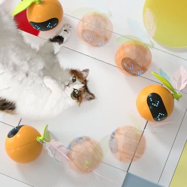 Interactive Cat Toy - SALUTUYA - Automatic Rolling Ball - Laser - USB Rechargeable - Red[DB] Blue Blue